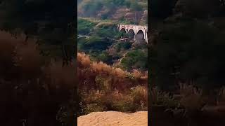 Nature Lover  Beautiful Rayagada railway bridge  Odisha  shortsreels2024 fact real youtube [upl. by Magocsi]