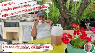 4 actions simples pour lutter efficacement contre le mildiou Un thé de prêle ça vous dit [upl. by Ainer501]