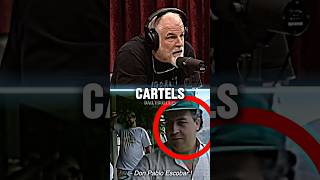 US Army VS Mexican Cartels Who Wins  JRE Podcast w John Mcphee 🇺🇸 army cartel podcast [upl. by Persian]