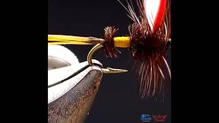 Inspired Dry  Royal  Parmachene  Wulff fly pattern  Show case fly tying short flytying [upl. by Buford447]