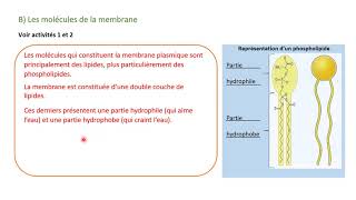 Chap 3 Une structure complexe  la cellule enseignement scientifique [upl. by Alyahc]