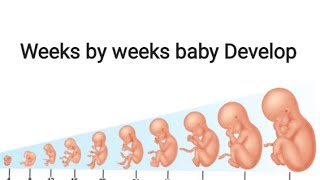 Baby develop 28 to 33 weeksweeks by weeks baby development [upl. by Tonia]