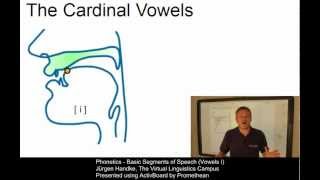 PHO107  Basic Segments of Speech Vowels I [upl. by Retsehc45]