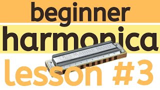 How to Play a Tremolo Harmonica with 24 Holes [upl. by Ytissac]