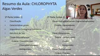 Chlorophyta parte 2 [upl. by Aiblis]