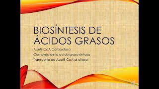 Biosíntesis de ácidos grasos [upl. by Nauqet]