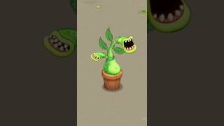 Funny Potbelly Song msm mysingingmonsterssong mysingingmonsters [upl. by Richma727]