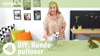 Hundepullover selber machen aus alter Hose Tierisch einfach DIY mit Luisa  zooplus [upl. by Kolk]