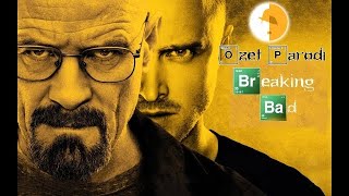 Breaking Bad Final Sezon Ã–zet Parodi  Dizi ve Dizzyler [upl. by Gemperle923]