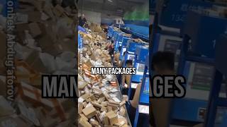 The Grim Reality of Chinese Logistics Warehouses [upl. by Aisetra804]