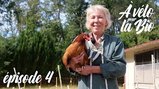 Épisode 4 À vélo pour la bio  Bienêtre animal 🐓 [upl. by Walke371]