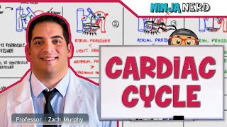 Cardiovascular  Cardiac Cycle [upl. by Haskins900]