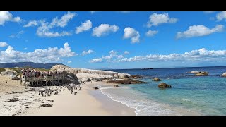 Muizenberg Boulders Beach Chapmans Peak [upl. by Casta]