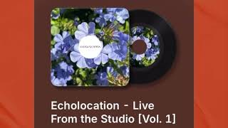 Echolocation  Live From the Studio Vol 1 [upl. by Okimuy]