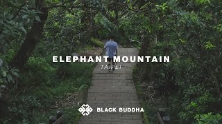 Elephant Mountain  Black Buddha Taipei [upl. by Artapoelc]