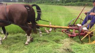 Gras maaien maaibalk Bert Bokkers [upl. by Malonis563]