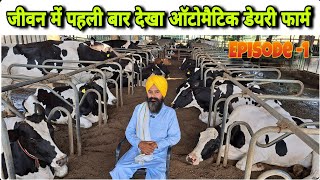 2 लेबर 150 गायों का पूरा काम करते देख हैरान हो गया  Big Hf Cow Automatic Dairy Farm In Punjab [upl. by Sella]