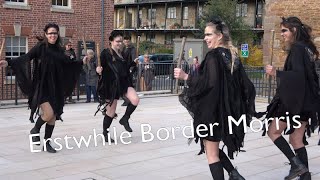 Erstwhile Border Morris dance quotBlacksleevesquot at Raggedstone Border Morris Birthday Bash in Ledbury [upl. by Adiraf]