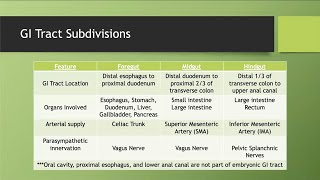 Foregut Midgut and Hindgut [upl. by Thordia]