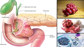 5 Foods That Your Pancreas Will Surely Love [upl. by Chace]