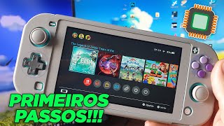 Primeiros Passos Ao Receber O Seu Nintendo Switch Desbloqueado Por ModChip Lite  V2  OLED [upl. by Nebeur]