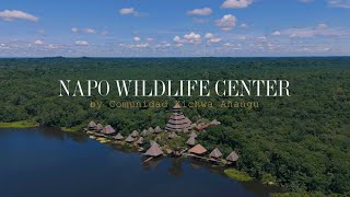 Napo Wildlife Center  Ecuadorian Amazon Rainforest [upl. by Norrehc657]