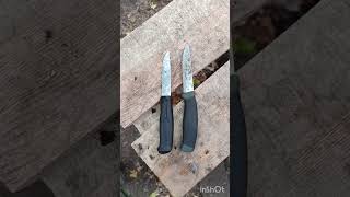 Morakniv 510 vs Companion MG [upl. by Hersh]