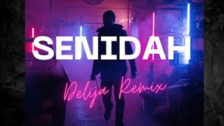 Senidah  Delija Kendrick Amar Remix [upl. by Abell]