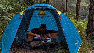 camping in heavy rain and nonstop storms sleeping soundly in a comfortable tent asmr [upl. by Nevuer4]