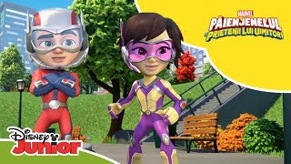 🦋 O soluție mititică  Păienjenelul Marvel și prietenii lui uimitori  Disney Junior România [upl. by Manoop295]