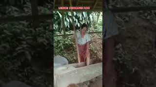 Masih adakah di daerah andalesung penumbuh padi shortsvideo pertanian padi lesung petani fyp [upl. by Chaille]