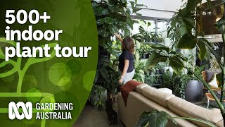 Huge 500 indoor plant collection tour and plant care tips  Indoor plants  Gardening Australia [upl. by Arline]