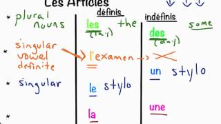 Les Articles Définis amp Indéfinis  10 Min Lesson [upl. by Kleon421]