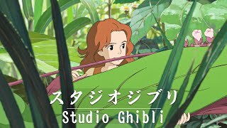 Studio Ghibli Music Relaxing Harp Hayao Miyazaki Collection  Ghibli Piano Playlist [upl. by Sverre835]