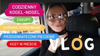 CODZIENNY KOGELMOGEL MIASTOWE KOZY [upl. by Wulf]