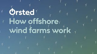 How Offshore Wind Farms Work [upl. by Arek594]