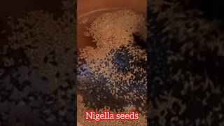 Fenugreek Seeds amp Nigella seeds watershort [upl. by Airretnahs181]