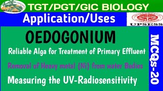 Set01MCQS OEDOGONIUM Application and Uses and Cell types in Thallus [upl. by Maiah]