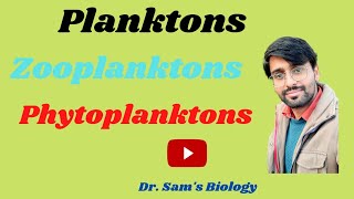 Difference between Plankton Phytoplankton and Zooplankton [upl. by Engapmahc]