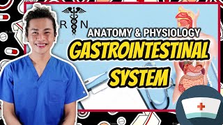 ANATOMY amp PHYSIOLOGY GASTROINTESTINAL SYSTEM  ENGLISH TAGALOG DISCUSSION  NEIL GALVE [upl. by Landry]