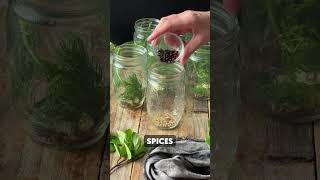 How to Make Refrigerator Dill Pickles [upl. by Rotow]