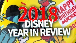 2018 Disney Year In Review [upl. by Zurciram]