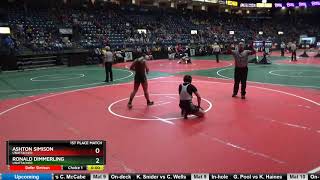 Ashton Simison vs Ronald Dimmerling 2019 OAC Freshman State 160 lbs Finals [upl. by Ayimat120]