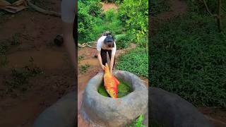 UNBELIEVABLE fishing unique fishing best fishing fishing video trending fish shorts funny [upl. by Nalym492]