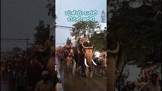 Gaja Gaambhirya  Gaja payana  Gaja pade  Mysore Dasara 2024  Elephants  Ambari  Jamboo Savari [upl. by Gnol]