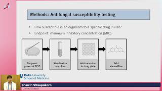 In Vitro Synergy of Amphotericin B and Flucytosine Against Talaromyces Marneffei Shawin Vitsupakorn [upl. by Nairahcaz]