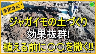 【春ジャガイモ】土づくりはコレ1つでOKそうか病対策にもなります【有機農家直伝！無農薬で育てる家庭菜園】 24118 [upl. by Ulah]