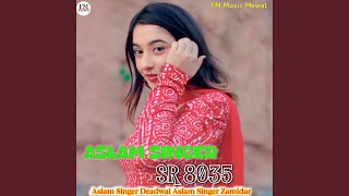 Aslam Singer SR 8035 [upl. by Dorahs]