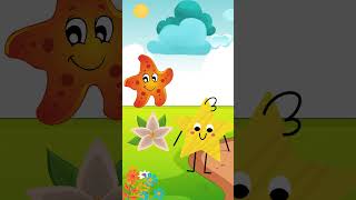 How To Say Star In Hebrew cohav hebrew viral fun israel kids learning shapes shorts fyp [upl. by Leatrice]