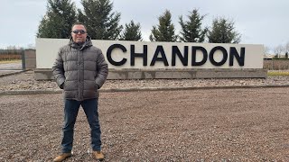 Bodega Chandon Mendoza Argentina tour guiado degustacion y almuerzo [upl. by Nalyr160]